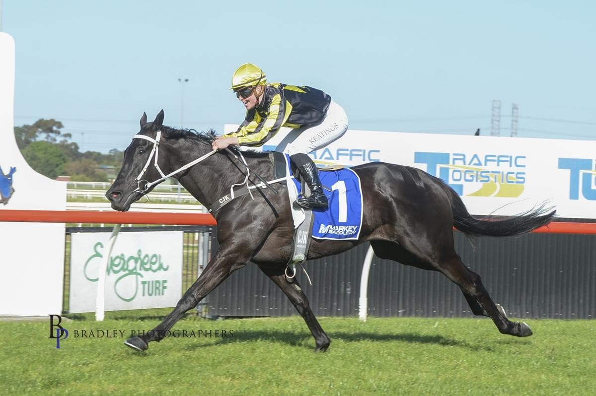 I’ve Bean Tryin’ Too Strong at Kembla