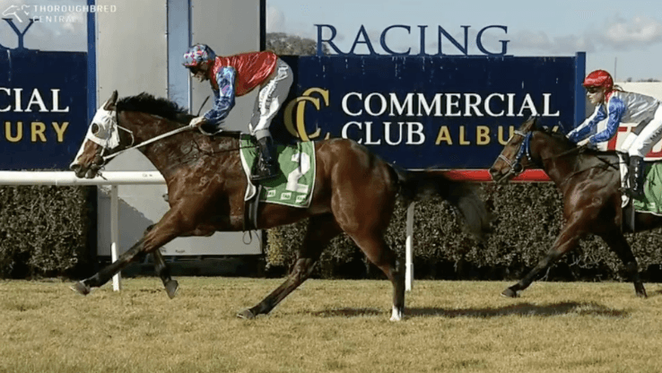 📈 First-up. First win. Exciting road ahead for Kelley 3YO.