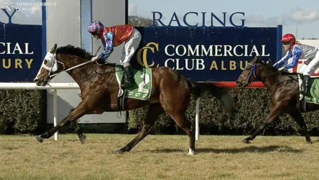 📈 First-up. First win. Exciting road ahead for Kelley 3YO.