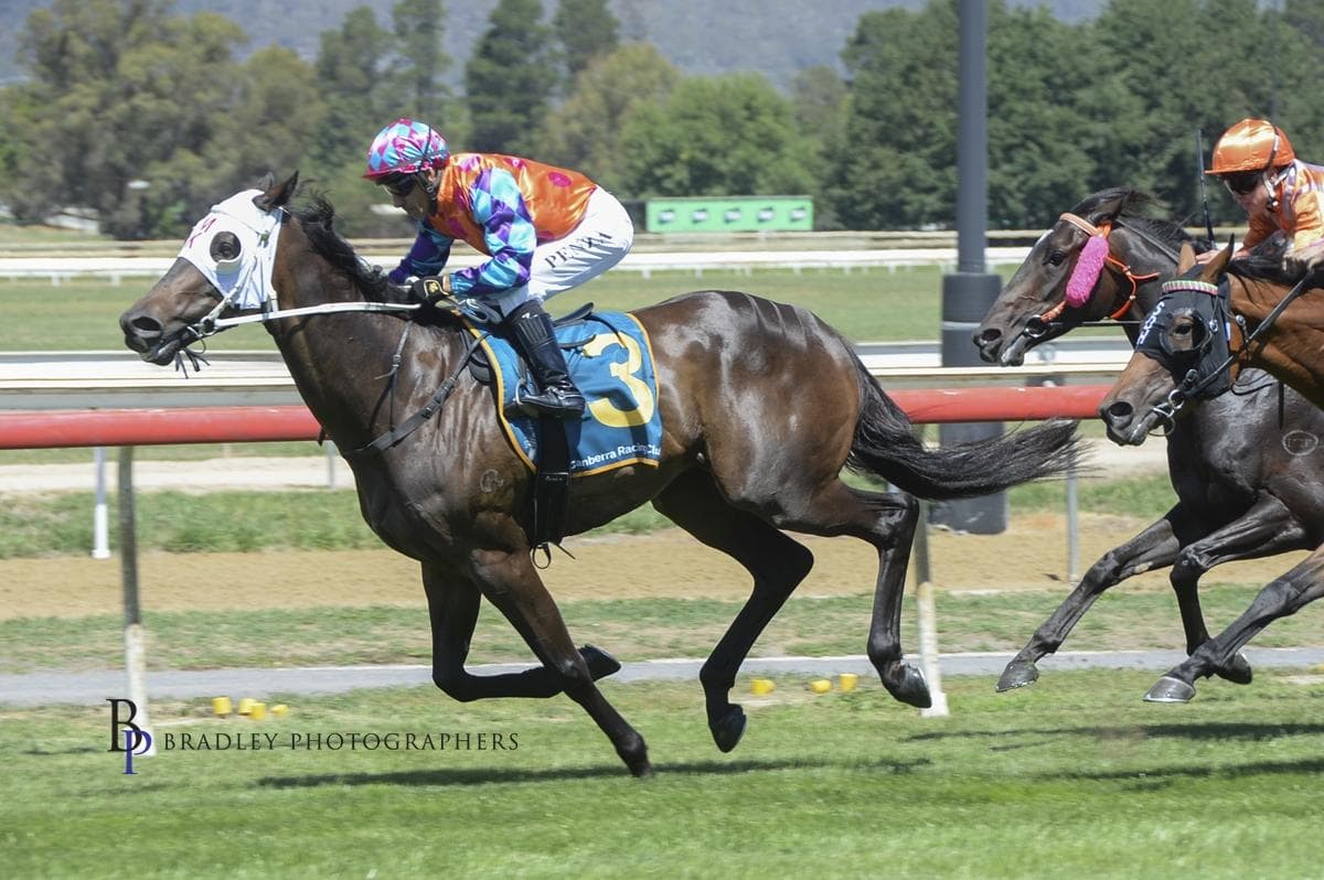 When One Wins, Others Follow for Kelley Racing